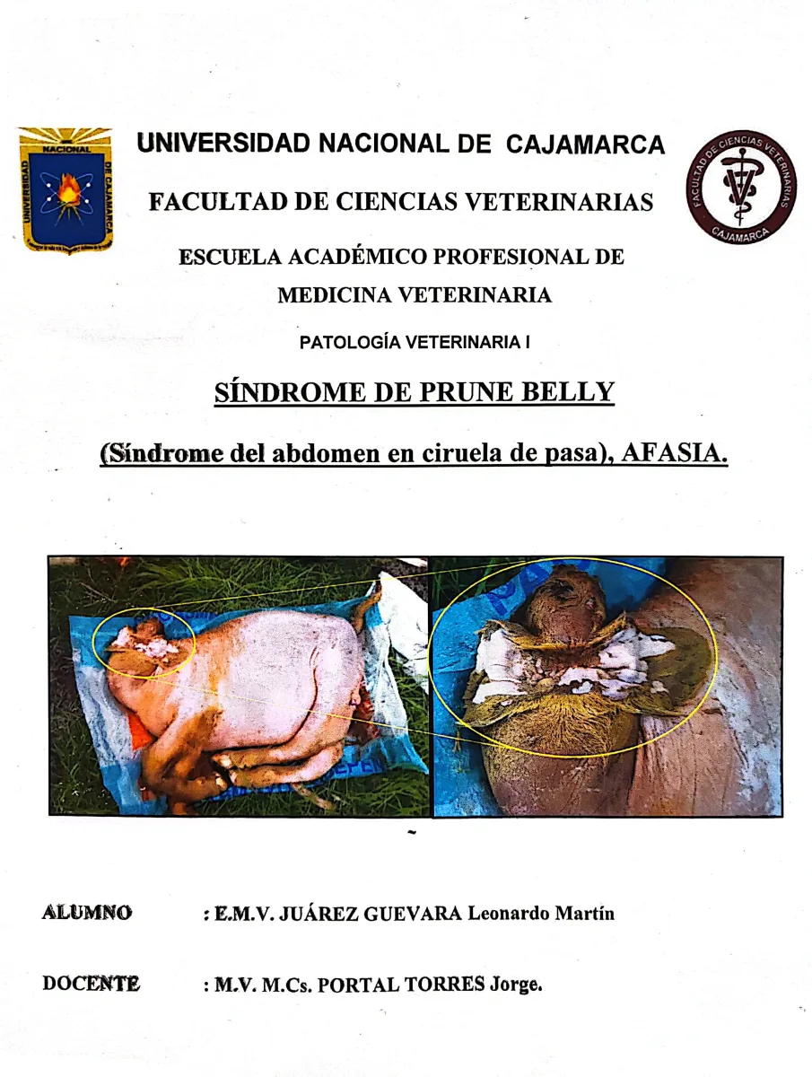 Espécimen de Sindrome De Prune Belly Y Afasia